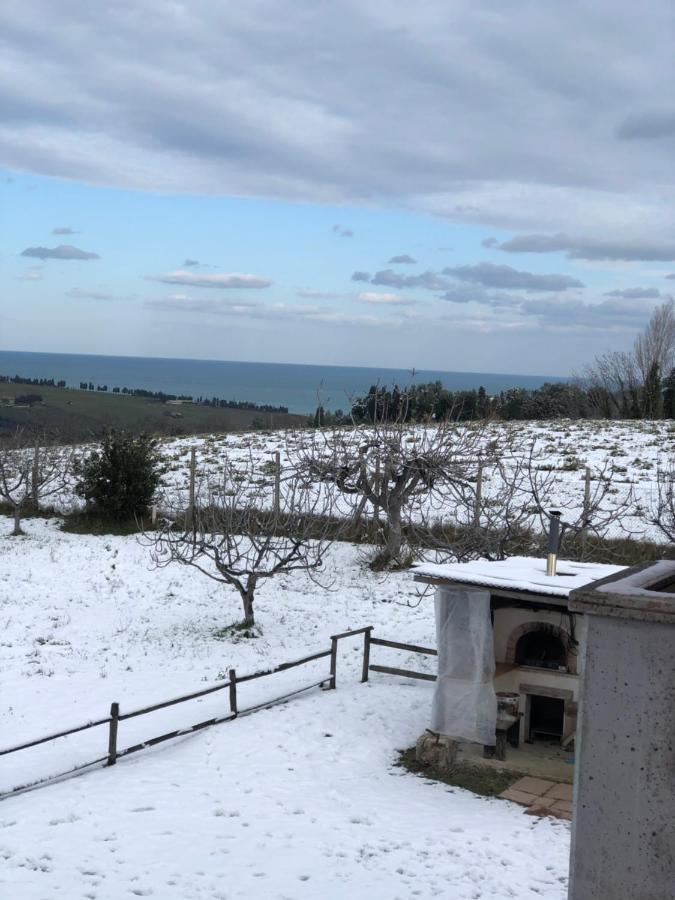 Belle Marche Bed & Breakfast Civitanova Alta Dış mekan fotoğraf