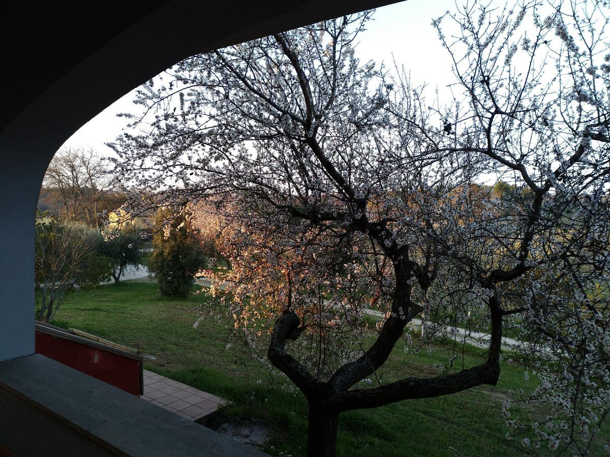 Belle Marche Bed & Breakfast Civitanova Alta Dış mekan fotoğraf