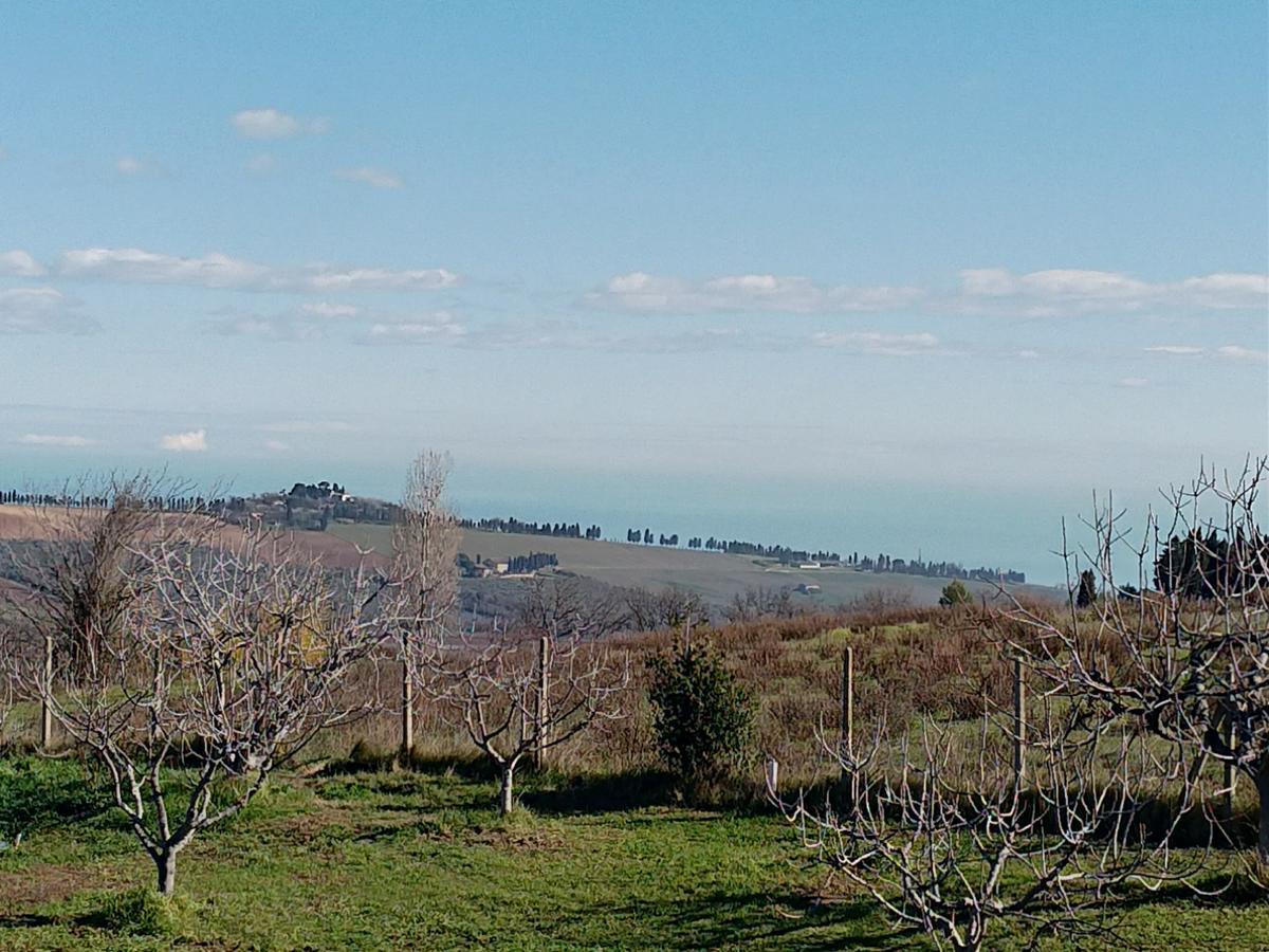 Belle Marche Bed & Breakfast Civitanova Alta Dış mekan fotoğraf